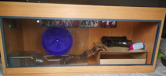 HOUSING (HABITATS & CAGES) | Hamsters SouthAfrica